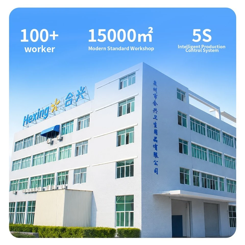 Japanese Adult Diaper Manufacturer OEM ODM Adult Brief Free Sample Unisex High Absorption Adult Pants Diaper With CE factory