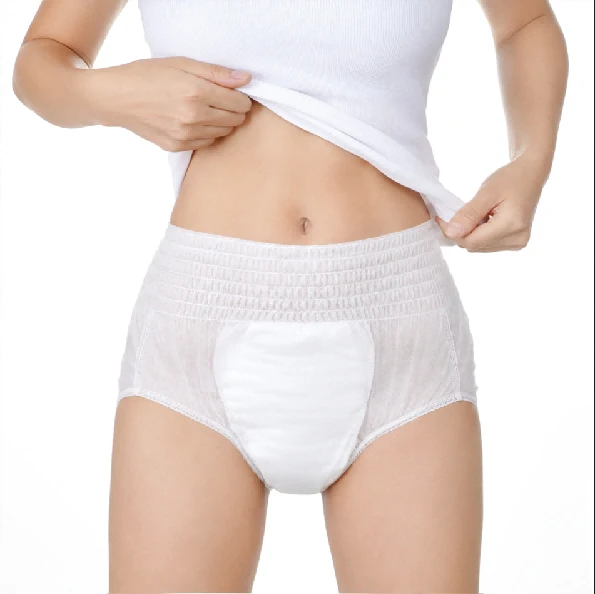 Japanese Adult Diaper Manufacturer OEM ODM Adult Brief Free Sample Unisex High Absorption Adult Pants Diaper With CE best